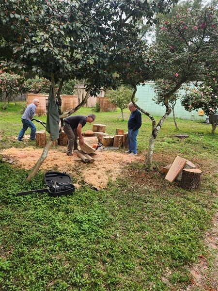 2026-01 Wood Prep